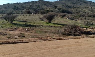 Parcela en Venta en Marchihue