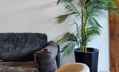 Departamento en Arriendo en Vicuña Mackenna con Escuela Agrícola