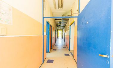 ALQUILER COM.ESPECTACULAR  EDIFICIO USOS MULTIPLES