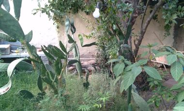Terreno con casa a demoler y depto interno