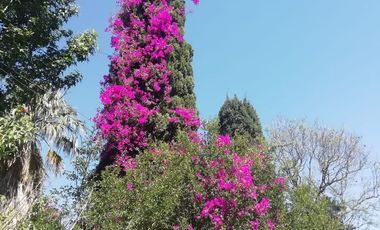 CASA EN VENTA DOS DORM CON PILETA ARROYO SECO