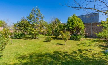 VENTA CASA JOVEN 2 PLANTAS 525 M2 TOT COCH ALFAR