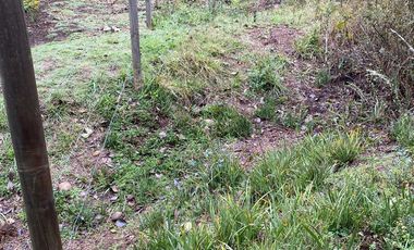 HERMOSA PARCELA DE AGRADO DE 1 HECTÁREA