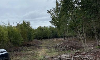 HERMOSA PARCELA DE AGRADO DE 1 HECTÁREA