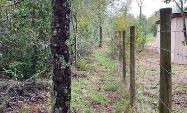 HERMOSA PARCELA DE AGRADO DE 1 HECTÁREA