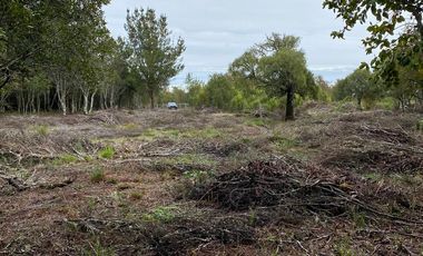 HERMOSA PARCELA DE AGRADO DE 1 HECTÁREA