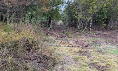 HERMOSA PARCELA DE AGRADO DE 1 HECTÁREA