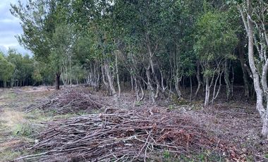 HERMOSA PARCELA DE AGRADO DE 1 HECTÁREA