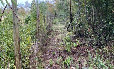 HERMOSA PARCELA DE AGRADO DE 1 HECTÁREA