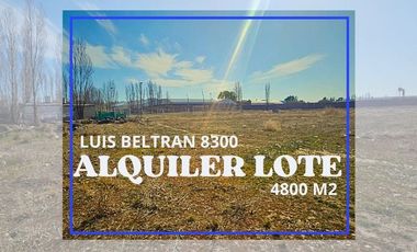 ALQUILER LOTE COMERCIAL SOBRE CALLE LUIS BELTRAN