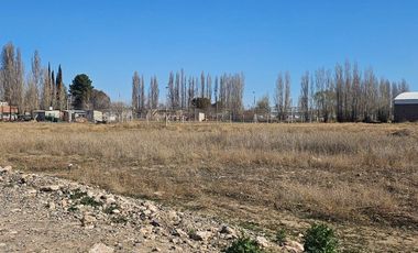 ALQUILER LOTE COMERCIAL SOBRE CALLE LUIS BELTRAN