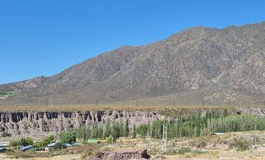 VENTA AGUAS DEL PIZARRO Y CAMPO DE 1200 HECTÁREAS