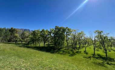 VENTA AGUAS DEL PIZARRO Y CAMPO DE 1200 HECTÁREAS