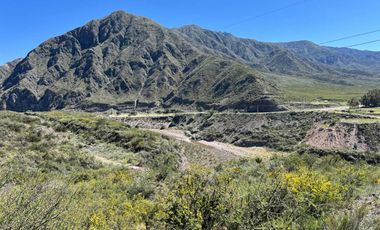 VENTA AGUAS DEL PIZARRO Y CAMPO DE 1200 HECTÁREAS