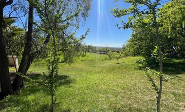 VENTA AGUAS DEL PIZARRO Y CAMPO DE 1200 HECTÁREAS