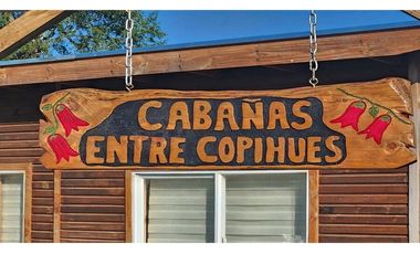 Se Arrienda Cabaña  en entre Cabañas  Osorno!