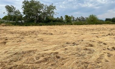 Se Vende en Loteo Doña Isidora 7.500 m2