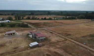Se Vende en Loteo Doña Isidora 7.500 m2