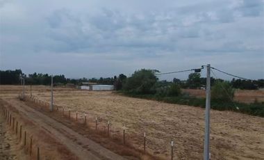 Se Vende en Loteo Doña Isidora 7.500 m2
