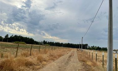 Se Vende en Loteo Doña Isidora 7.500 m2