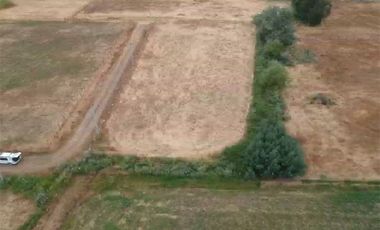 Se Vende en Loteo Doña Isidora 7.500 m2