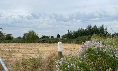 Se Vende en Loteo Doña Isidora 7.500 m2