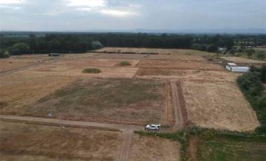 Se Vende en Loteo Doña Isidora 7.500 m2