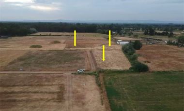 Se Vende en Loteo Doña Isidora 7.500 m2
