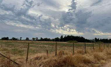 Se Vende en Loteo Doña Isidora 7.500 m2