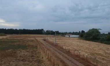Se Vende en Loteo Doña Isidora 7.500 m2