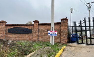 Se Vende en Loteo Doña Isidora 7.500 m2