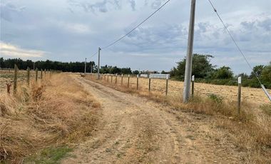 Se Vende en Loteo Doña Isidora 7.500 m2