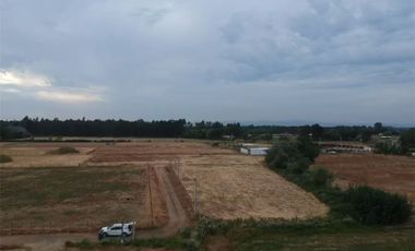 Se Vende en Loteo Doña Isidora 7.500 m2