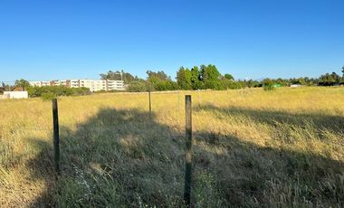 terreno 5.400 m2 en loteo tejas verdes 40 oriente