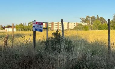 terreno 5.400 m2 en loteo tejas verdes 40 oriente
