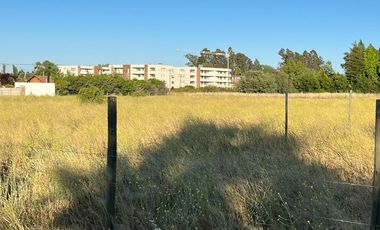 terreno 5.400 m2 en loteo tejas verdes 40 oriente