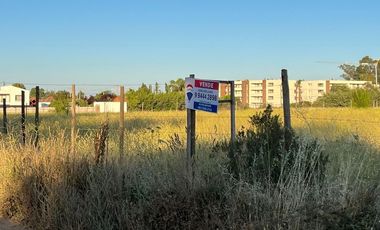 terreno 5.400 m2 en loteo tejas verdes 40 oriente