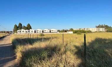 terreno 5.400 m2 en loteo tejas verdes 40 oriente