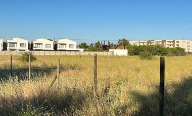terreno 5.400 m2 en loteo tejas verdes 40 oriente