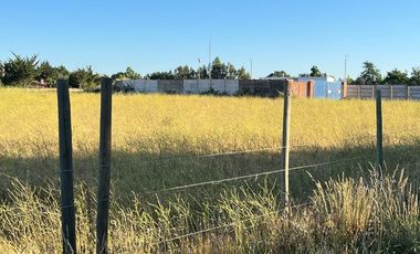 terreno 5.400 m2 en loteo tejas verdes 40 oriente