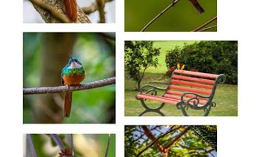 VENTA de CASAS en APULO