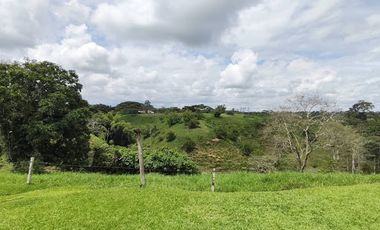 ARRIENDO de CASAS en PEREIRA