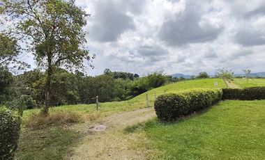 ARRIENDO de CASAS en PEREIRA