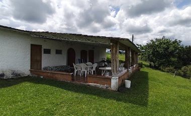 ARRIENDO de CASAS en PEREIRA