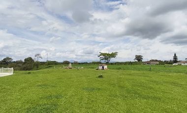 ARRIENDO de CASAS en PEREIRA