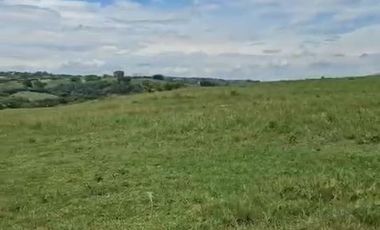 LOTE EN VENTA VIA CERRITOS / PEREIRA