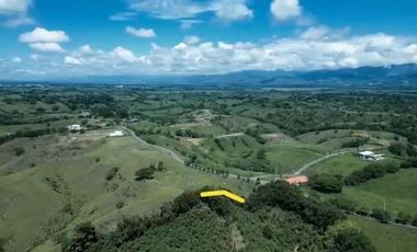 LOTE EN VENTA VIA CERRITOS / PEREIRA