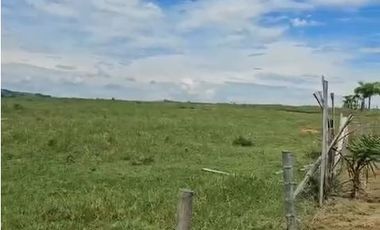 LOTE EN VENTA VIA CERRITOS / PEREIRA