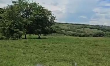 LOTE EN VENTA VIA CERRITOS / PEREIRA