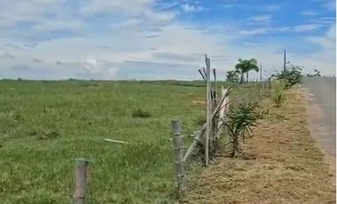 LOTE EN VENTA VIA CERRITOS / PEREIRA